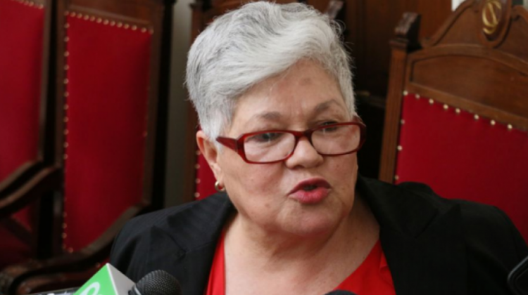 Senadora Silvia Salame. Foto: Internet