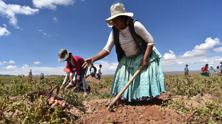 Familia agricultora del altiplano. Foto. Archivo