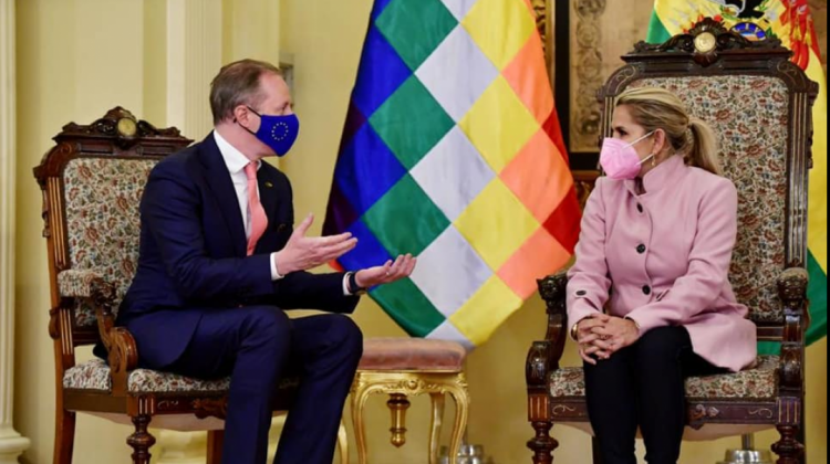 Representante de la Unión Europea sosteniendo un encuentro con la expresidente interina Jeanine Áñez en octubre de 2020. Foto: UE