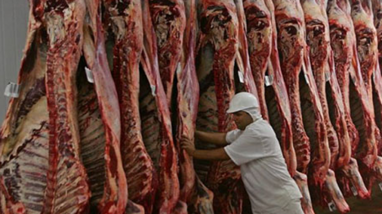 carne carne