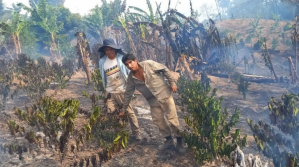 Incendios afectan a 9.000 familias en los Yungas, sembradíos, sistemas de riego y electricidad