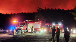 Al menos cuatro muertos por los incendios que azotan la región chilena de Biobío