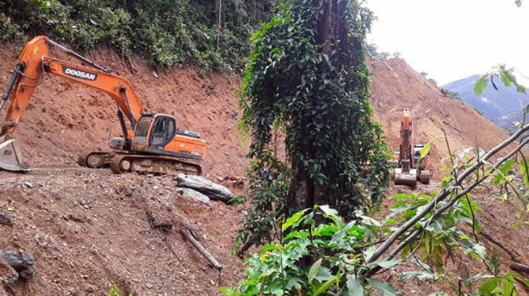 madidi madidi