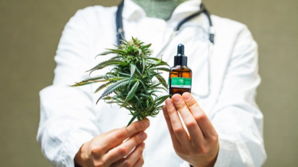 Imagen referencial de cannabis medicinal. Foto: Archivo/Internet