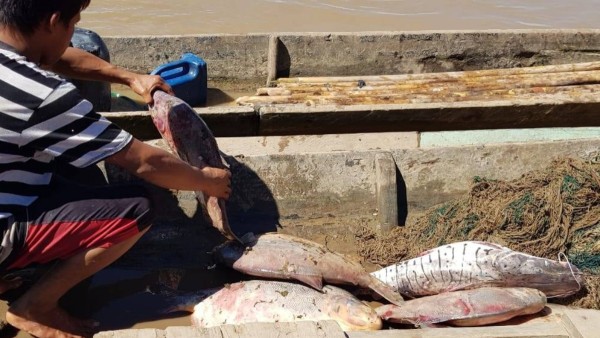 Foto:  Reacción Climática