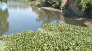El arroyo San Juan. Foto: captura video
