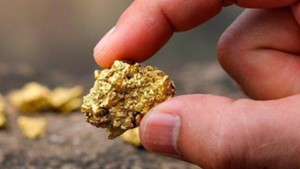 Experto alerta descontrol por el oro tras autorización para la creación de una federación aurífera