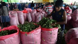 Caso desvío de coca: Fiscalía investiga bienes de exviceministro Lovera y cita a exvocal Cruz