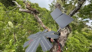 Huawei promueve el desarrollo social a través de la innovación tecnológica