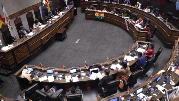 Cámara de Senadores. Foto: RRSS