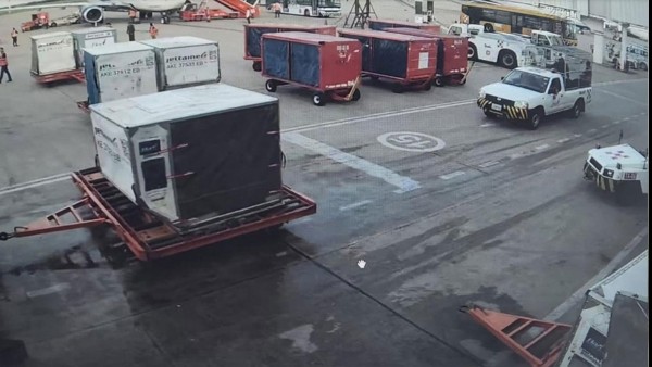 Contenedor donde se encontraba el cargamento de droga enviada a España. Foto: RRSS
