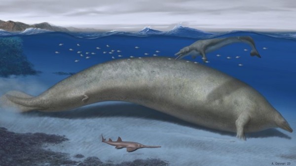 Reconstrucción artística de Perucetus colossus.   Foto: Imagen ALBERTO GENNARI