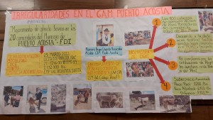 Fondo Indígena: Denuncian que alcalde de Puerto Acosta compró ganado peruano con sobreprecio