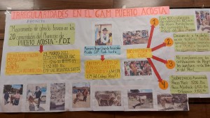Fondo Indígena: Denuncian que alcalde de Puerto Acosta compró ganado peruano con sobreprecio