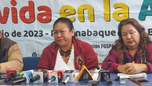 Vicepresidenta de mujeres indígenas llora porque a diario ve morir a su gente por la contaminación
