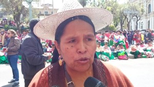 Culturas admite que en el MAS se aplica la dedocracia y ve falta de 