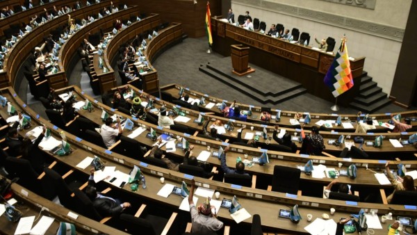 Cámara de Diputados. Foto: ABI