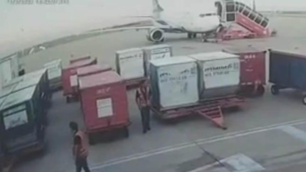 Ministerio Público aparta de sus filas a dos fiscales que investigaban el caso “Narcovuelo”