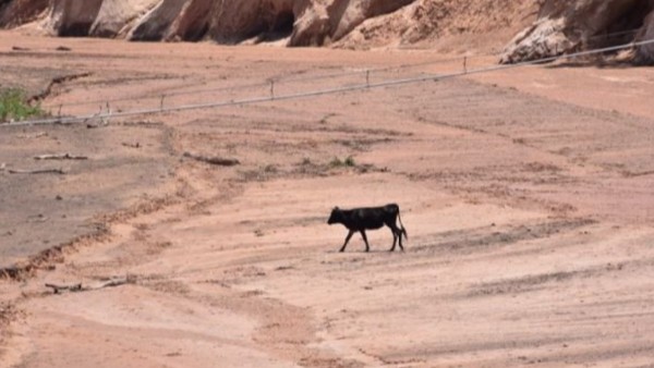 Imagen referencial. Foto: Correo del Sur