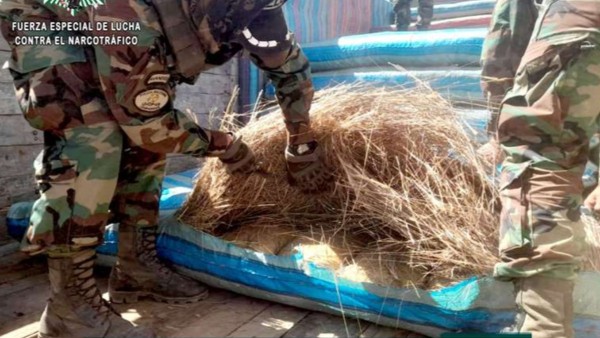 La marihuana se encontraba camuflada en colchones de paja. Foto: FELCN