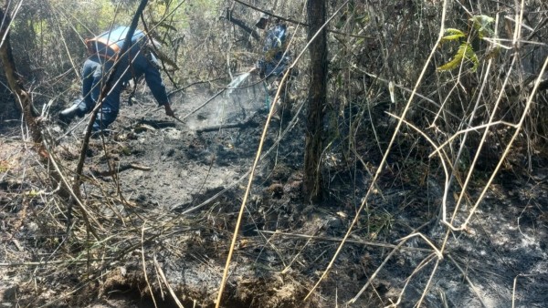 Desde hace 7 días arde el Parque Nacional de Cotapata, comunarios piden  auxilio al Gobierno - ANF Agencia de Noticias Fides Bolivia