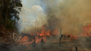 90 escuelas suspenden clases en el norte de La Paz por humareda; las lluvias facilitarían el retorno