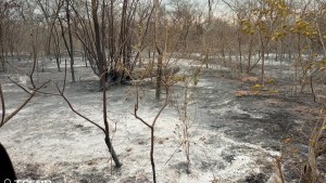 En Bolivia, los territorios indígenas están asediados por el fuego