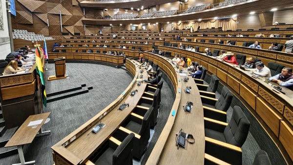 Foto: Cámara de Diputados