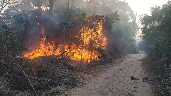 Los incendios en el Norte de La Paz se incrementaron. Foto: Captura