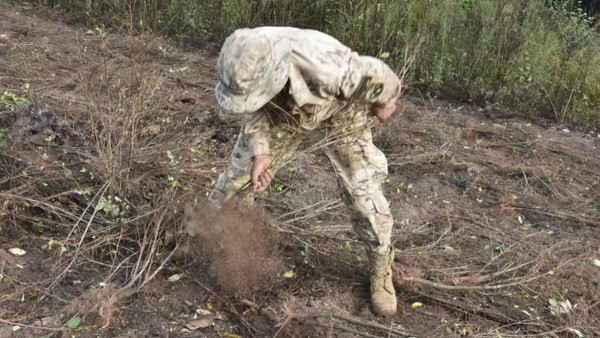 Personal militar erradica la coca ilegal en el Amboró. Foto: Jaime Mamani