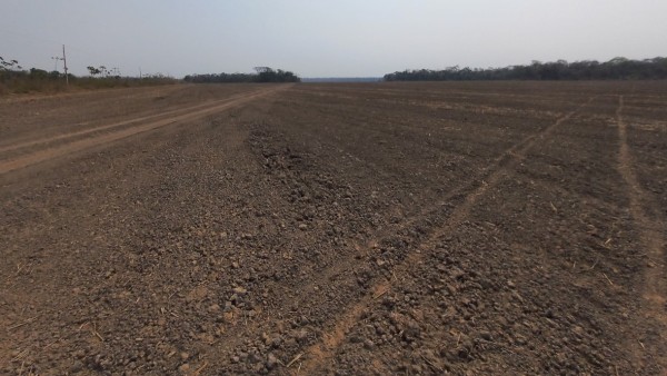 Terreno listo para ser alquilado en la  TCO Sirionó, noroeste del Beni. Foto: Cedla.