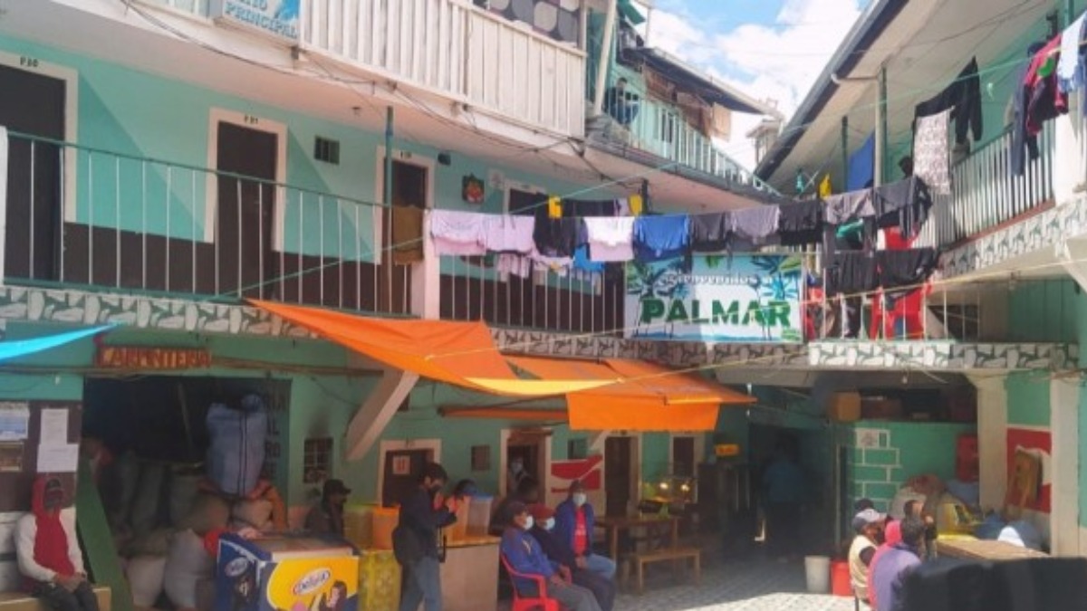 Sección Palmar. Foto: ANF