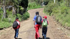 Cochabamba: Tres niños de 11 y 12 años escaparon de sus casas para trabajar de cocaleros