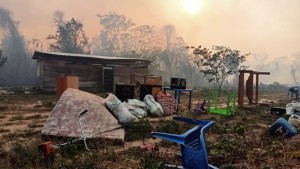 Advierten que incendios traerán al menos cuatro consecuencias para los pueblos indígenas