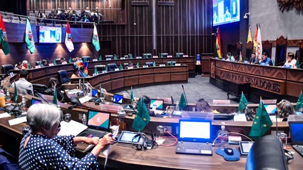 Foto: Cámara de Senadores