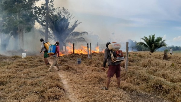 Hombres con sus mochilas apagan el fuego. Foto: Cortesía desde San Isidro (la pasada semana)