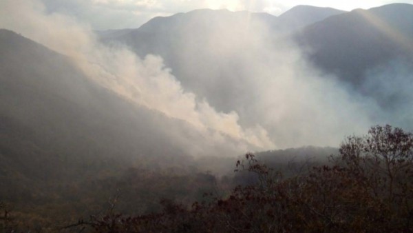 Imagen referencial. Incendios dentro del Parque Madidi.