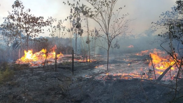 Incendio den Tumupasa. Foto: Radio Tv Red Amazónica