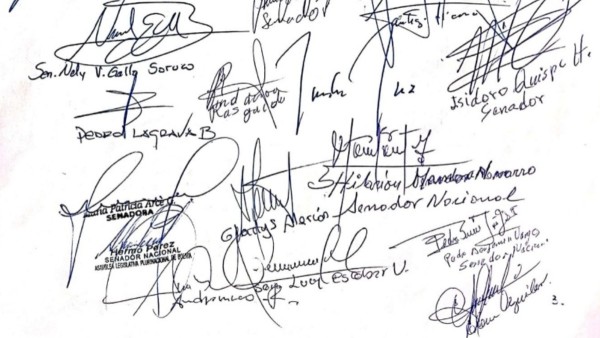 Las firmas de los senadores del MAS-evista. Foto: captura documento