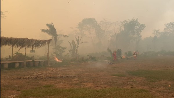 Los bomberos forestales sofocan las llamas que están en la comunidad indígena. Foto: Rio Televisión.