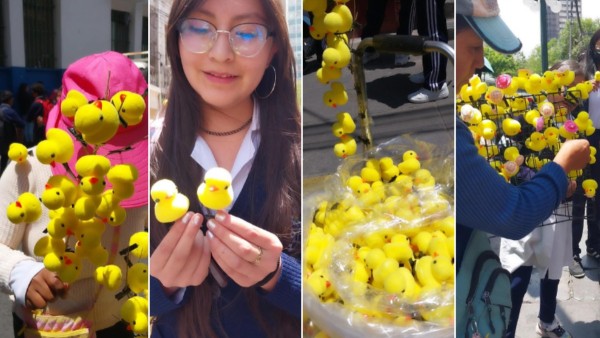 Los patitos de juguete en las calles de La Paz.}