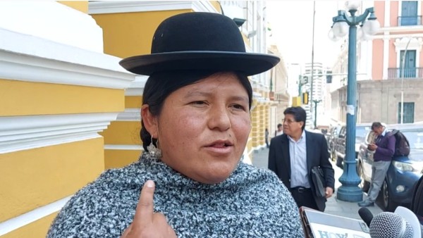 Zulay Mamani, diputada del MAS. Foto: ANF