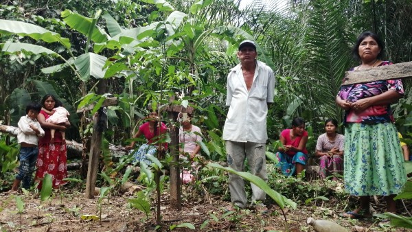Familias tsimanes visitan con ANF un cementerio de una comunidad indígena. Foto: ANF