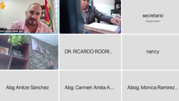 Imagen de la audiencia virtual. Foto: captura