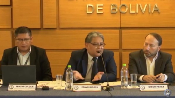 Edwin Rojas, presidente interino del BCB.