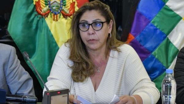 Patricia Arce, senadora del MAS. Foto: Cámara de Senadores