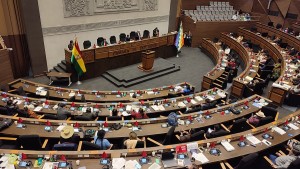 Pleno de la Cámara de Diputados. Foto: ANF