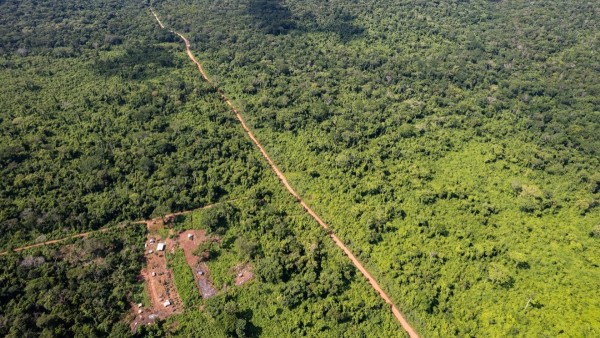 Fotografía con dron de recientes actividades de deforestación en Bajo Paraguá. Enero de 2024. Foto: Observatorio