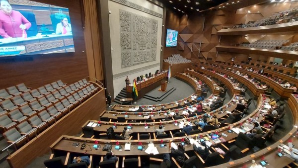 La sesión de Diputados. Foto: ANF