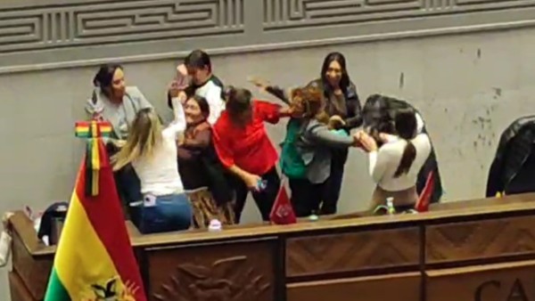 Pelea en la Cámara de Diputados. Foto: ANF